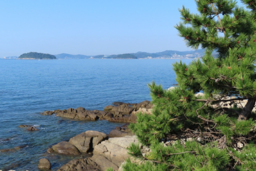 愛知県三河湾での海洋散骨