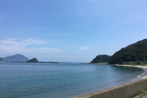 大分県大分沖での海洋散骨