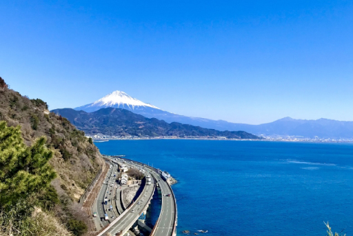 静岡県駿河湾での海洋散骨