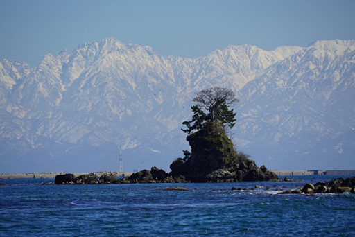 富山湾での海洋散骨